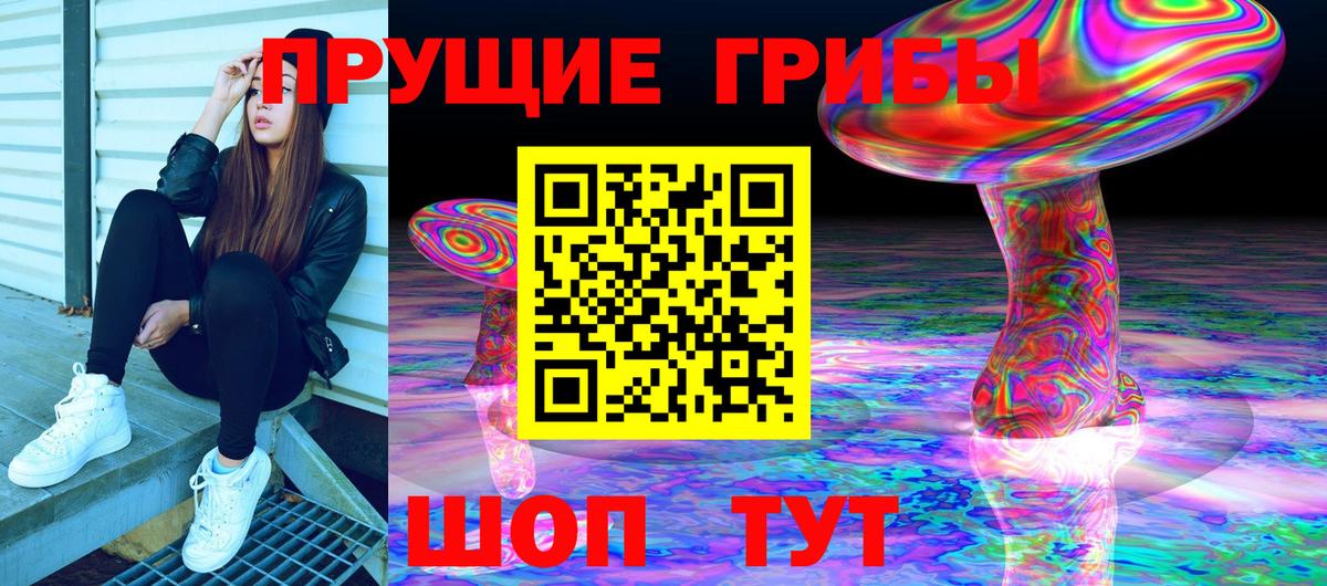 Фрязино  Псилоцибиновые грибы ЛСД  Вход с VPN 